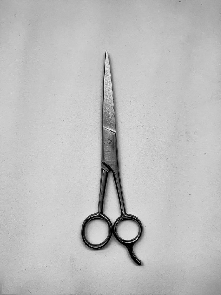 Photograph by Susmita Ghosh