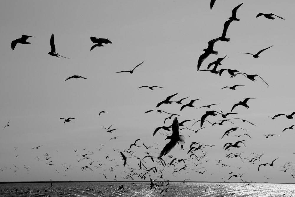 Photograph by Илья Пономарев