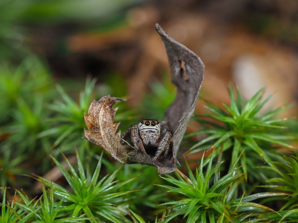 Photograph by Максим Кошелев