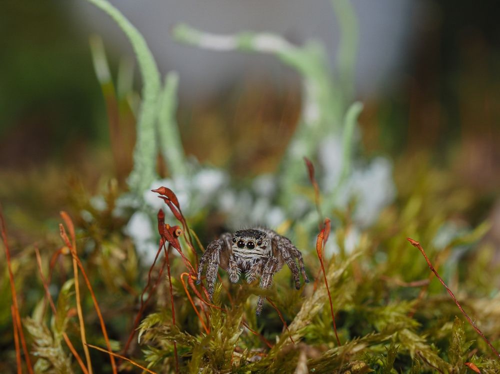 Photograph by Максим Кошелев