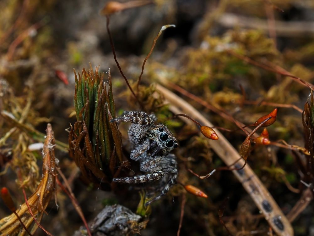 Photograph by Максим Кошелев