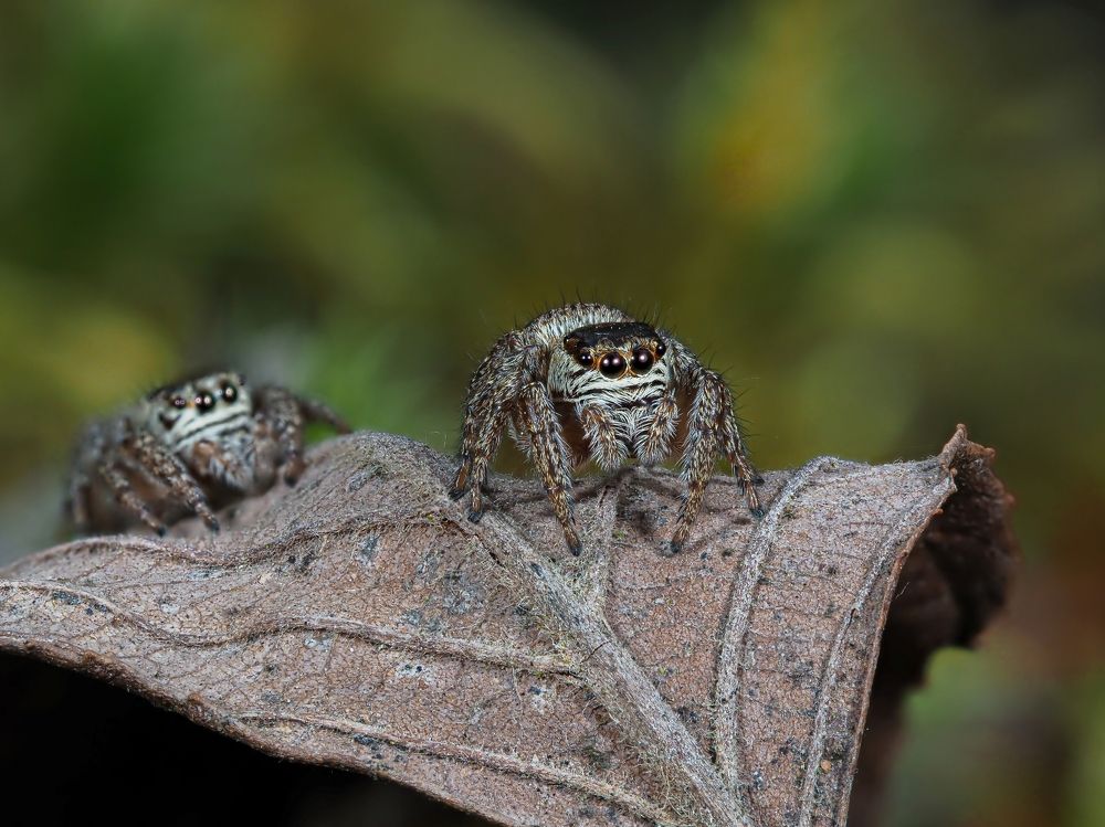 Photograph by Максим Кошелев