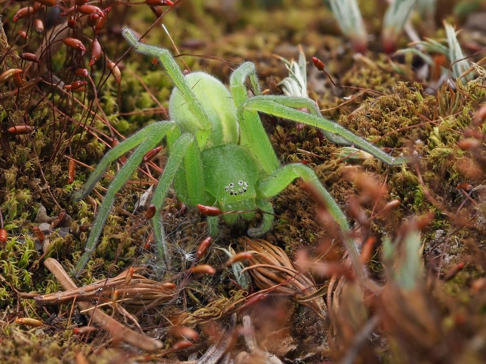 Photograph by Максим Кошелев