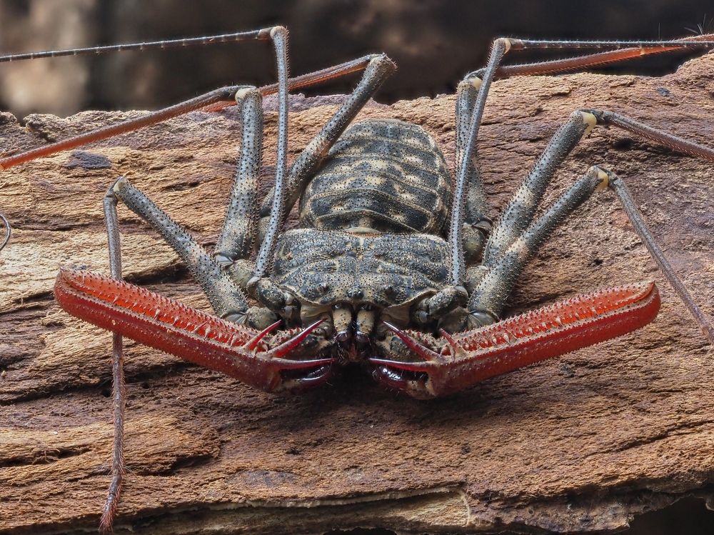 Photograph by Максим Кошелев