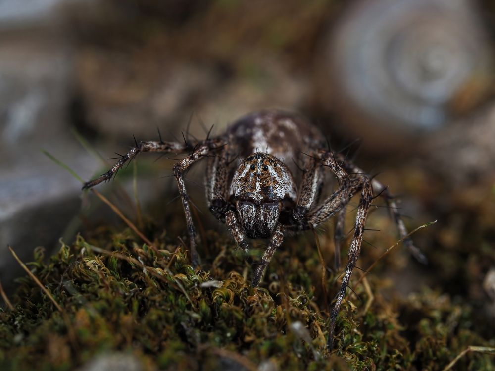 Photograph by Максим Кошелев