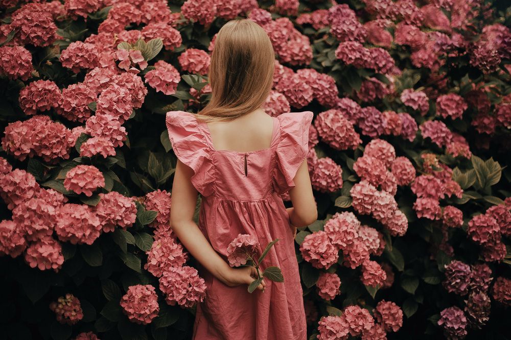 Photograph by Kristina Bavencoffe