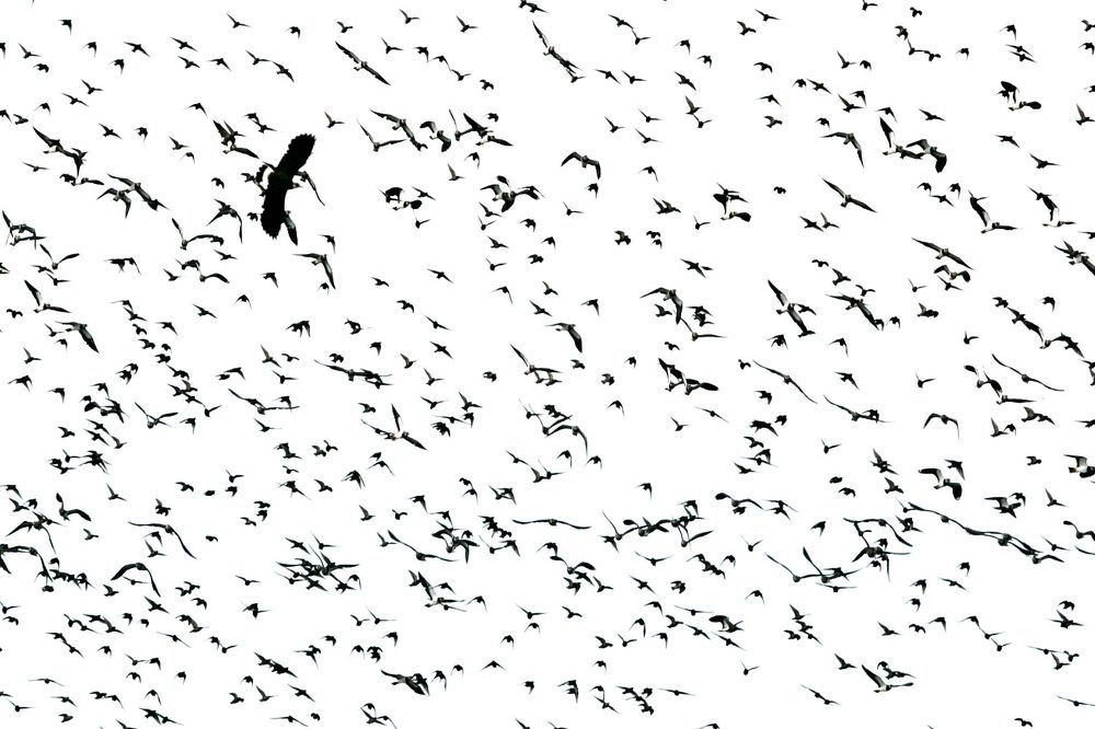 Photograph by Anna Suchcicka