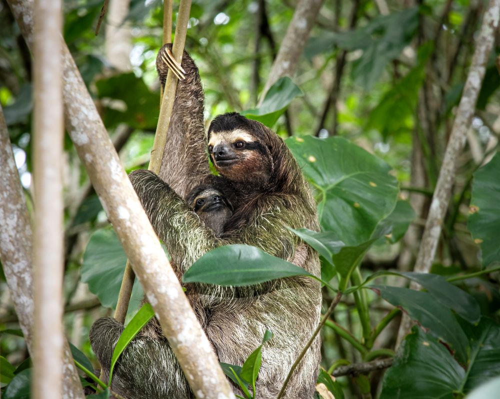 Фотография автора Evgeny Gorbunov