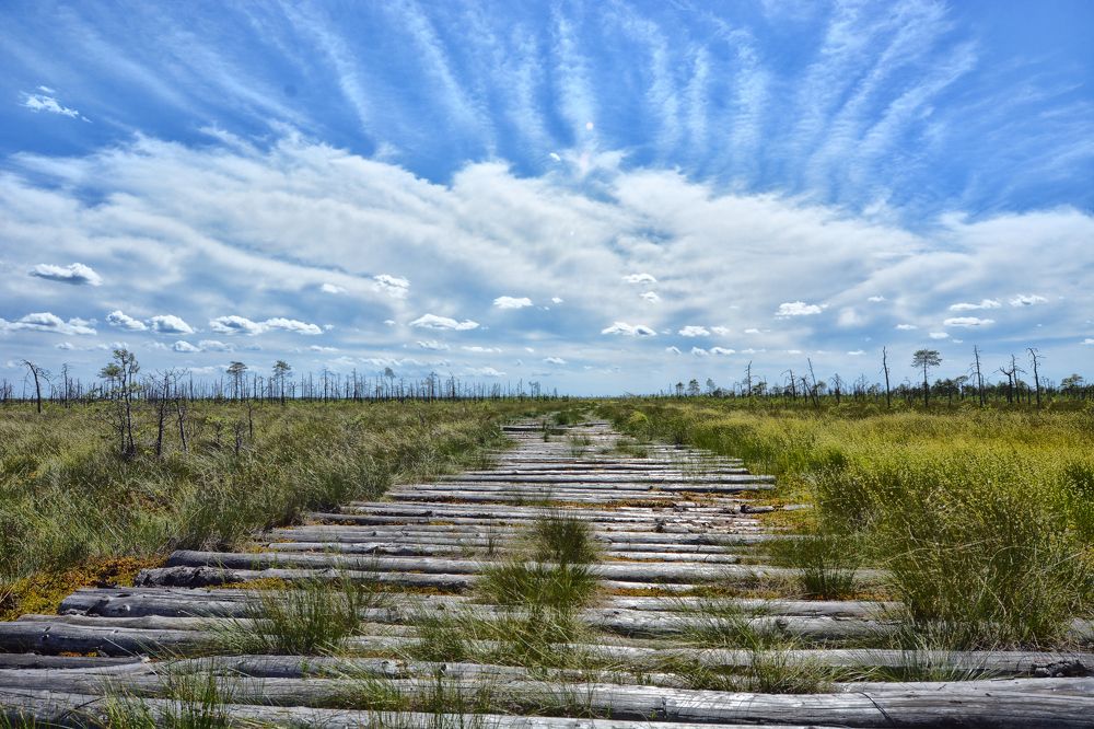 Фотография автора Виктор Журбенков