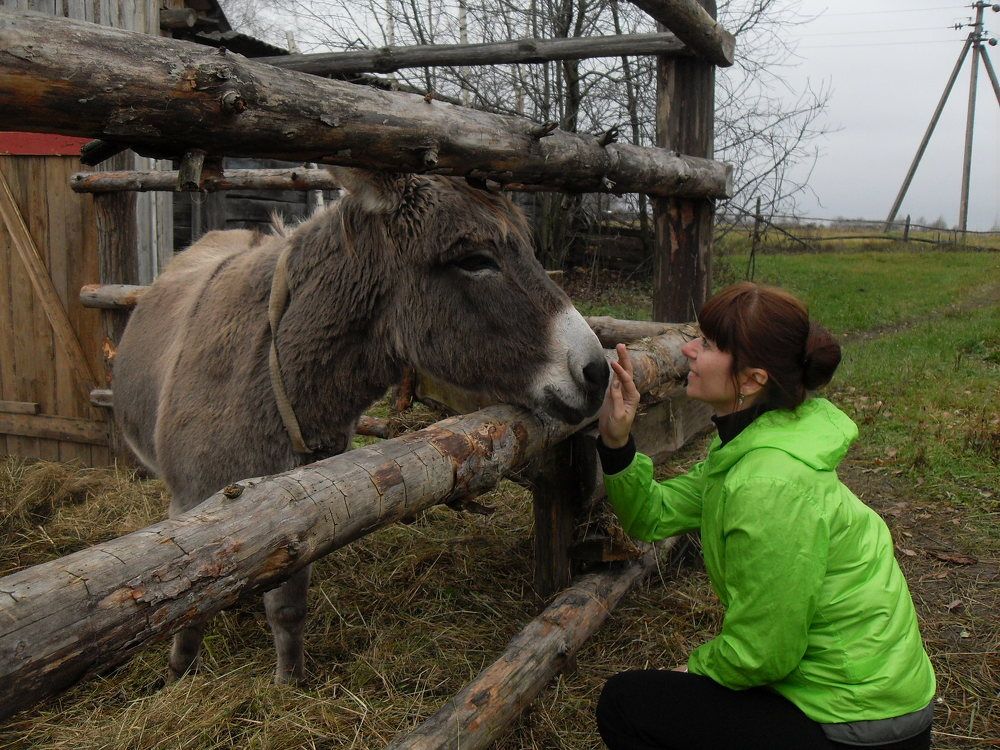 Photograph by Юлия Аушева