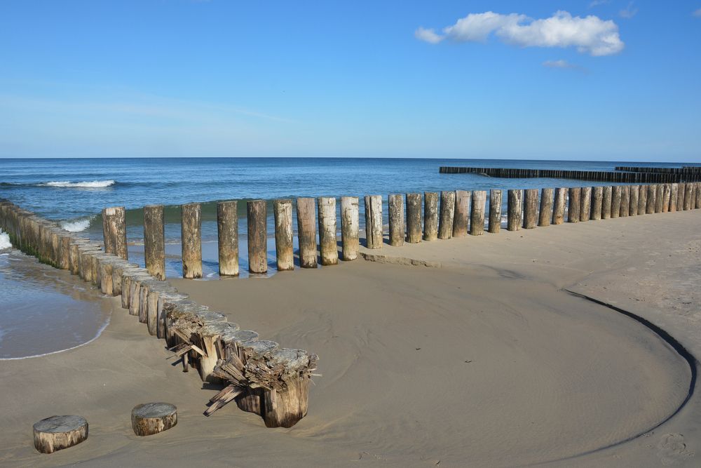 Ведьмин круг