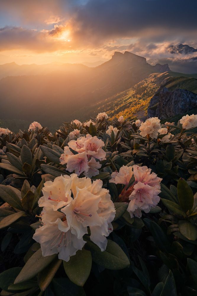 Photograph by Александр Дударев