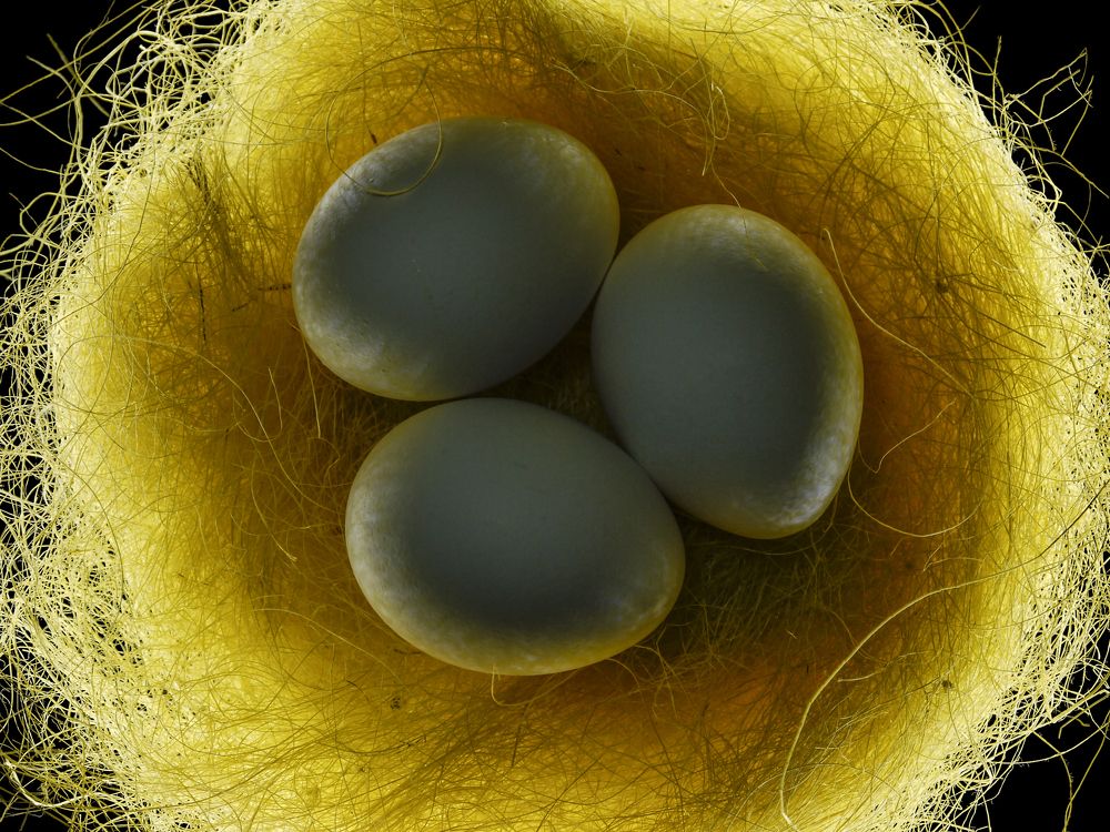 Photograph by Игорь Кутний