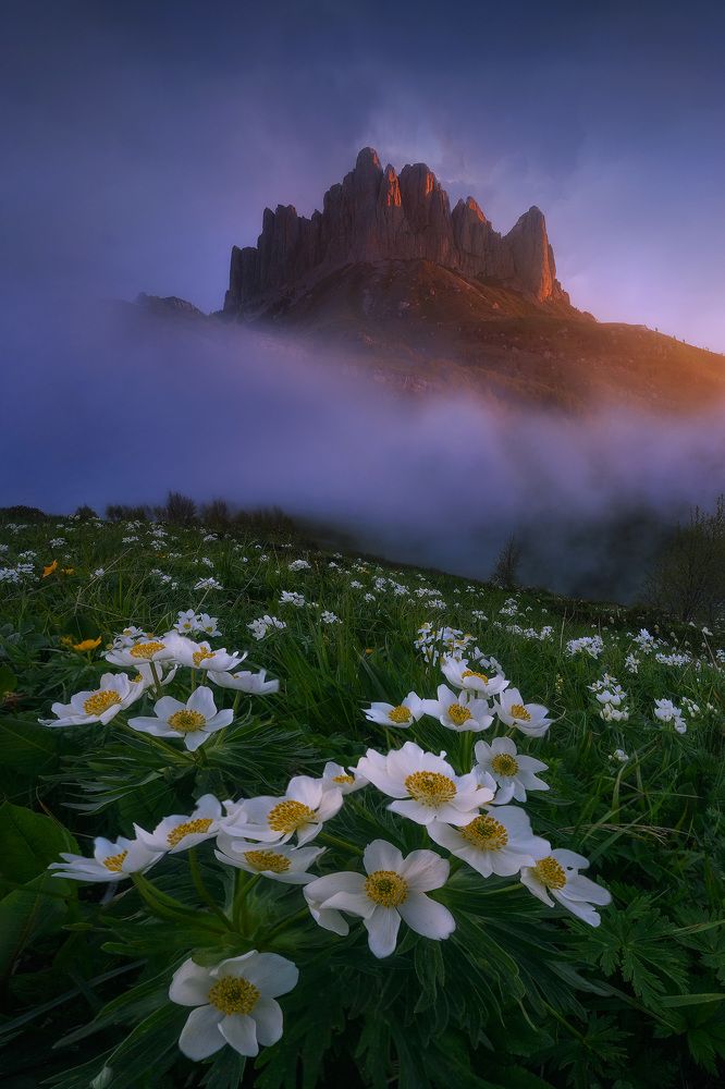 Photograph by Александр Дударев