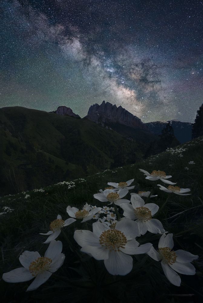 Photograph by Александр Дударев