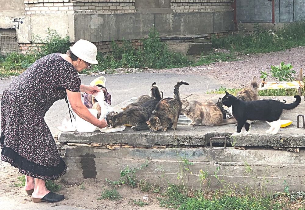 Доброта.