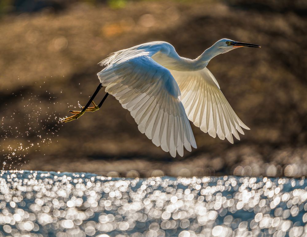 Photograph by Noufal Pallikal Akath