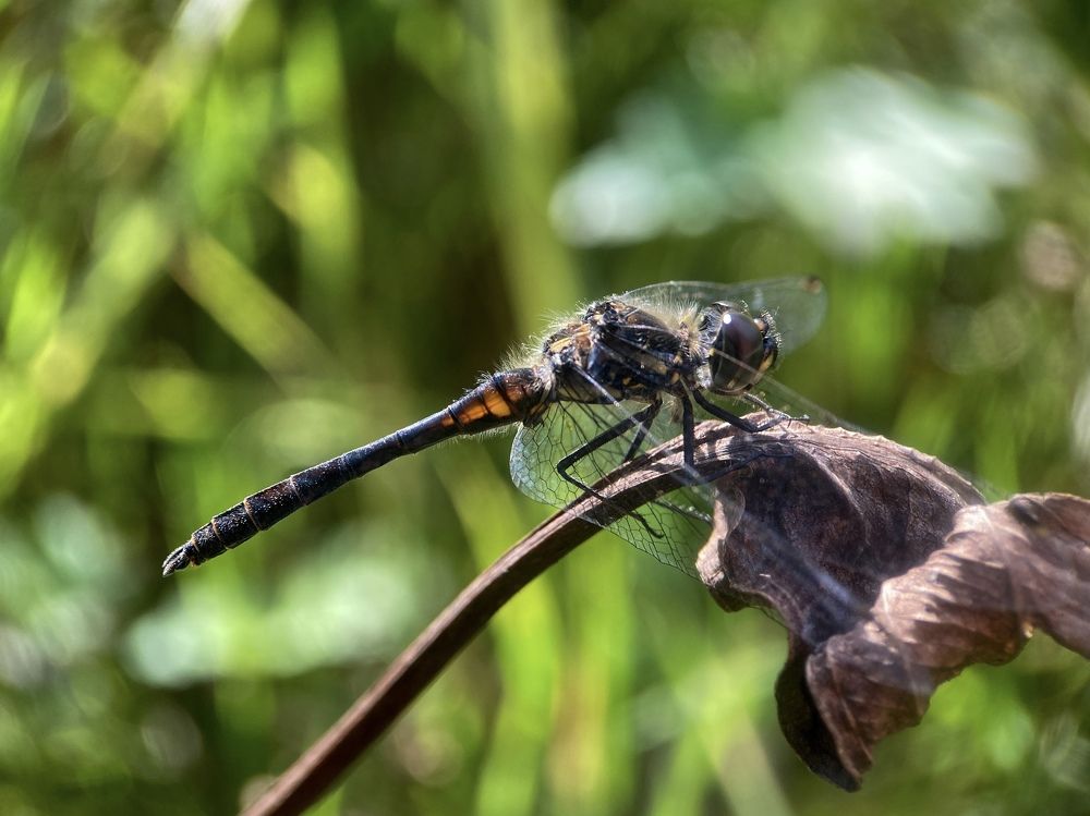 Фотография автора Анна Котлова