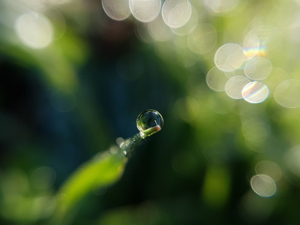 Photograph by Хачик Аджатян