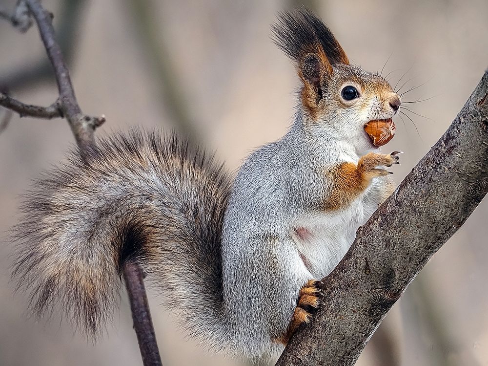 Photograph by Сергей Духанин