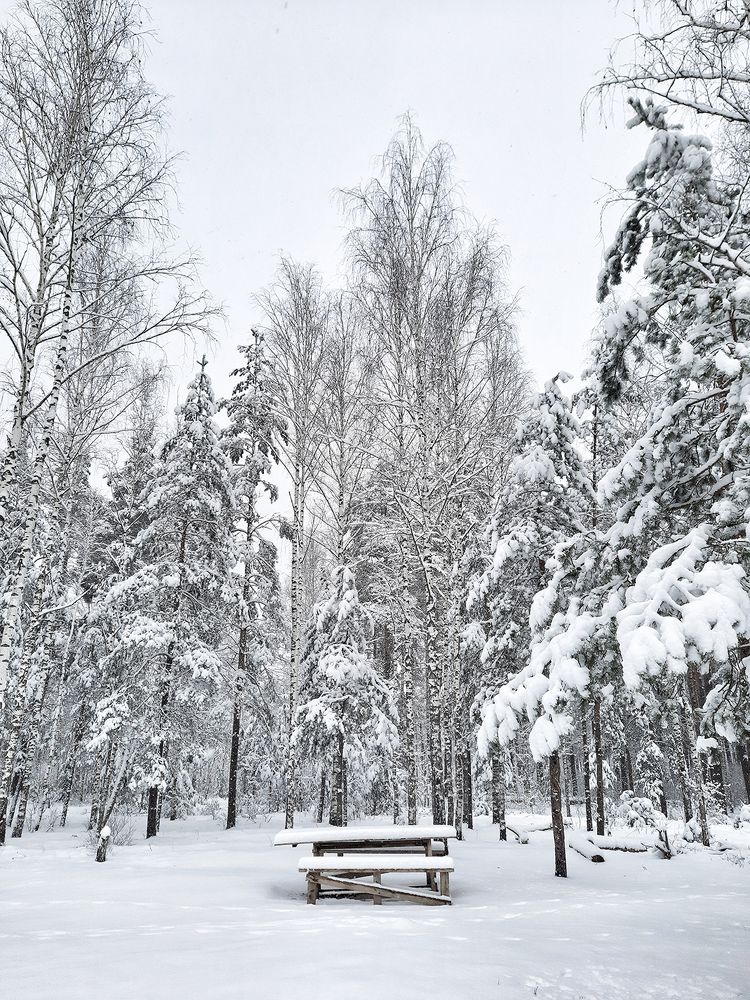 Photograph by Михаил Рассказ