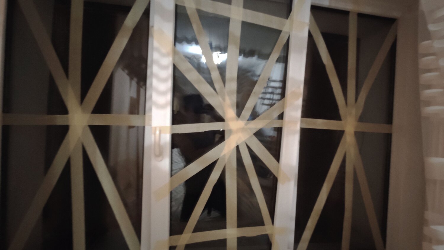 Photo #7373384