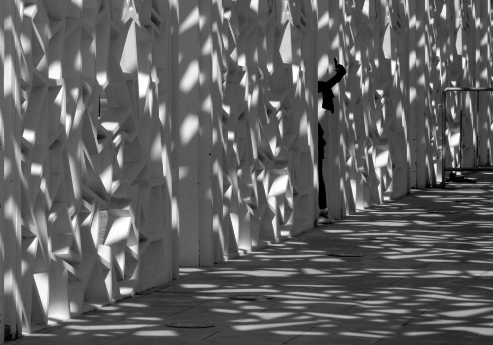 Photograph by Shaji Hussain