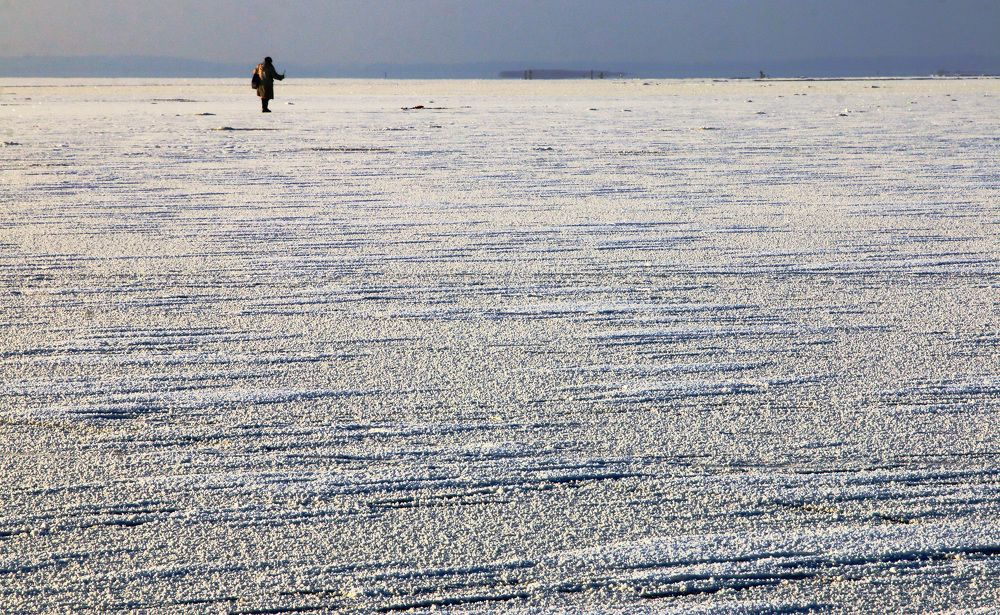 Photograph by Николай Протасеня