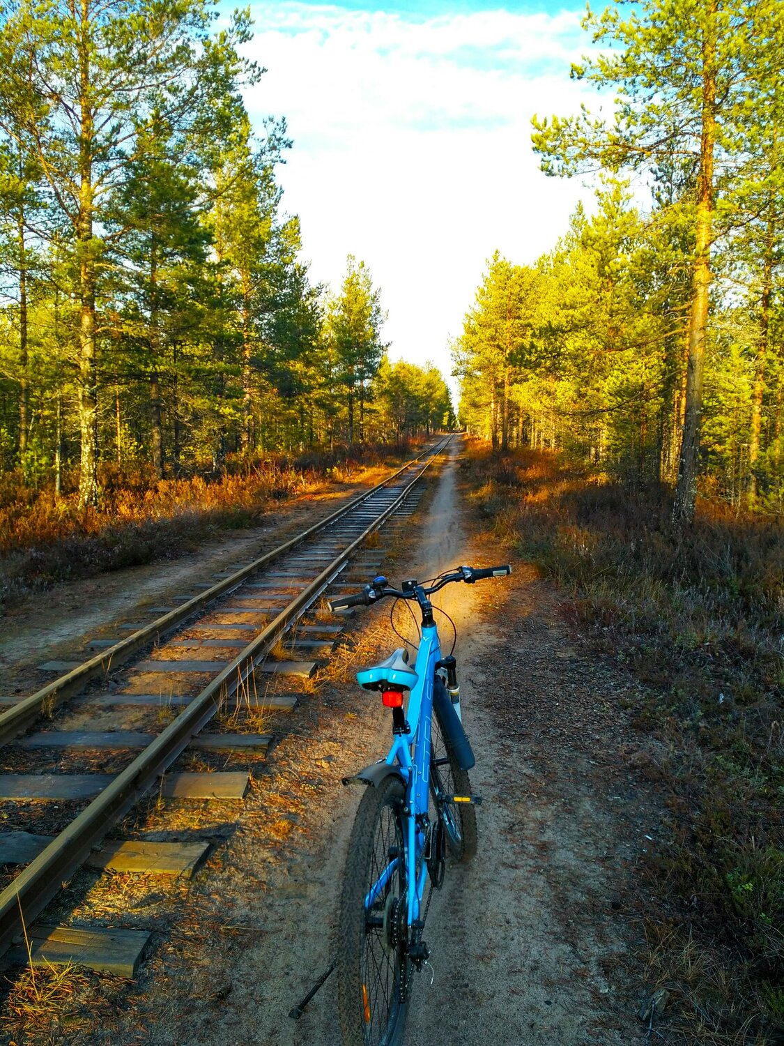 Photo #7373500