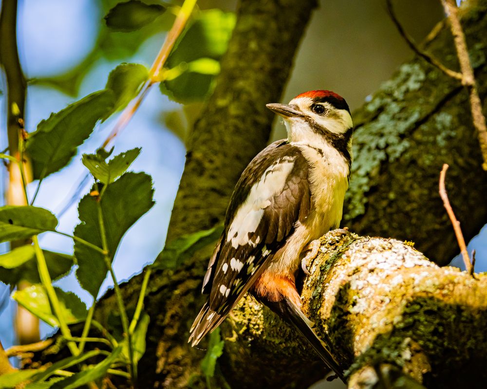 Photograph by Alexander Kalinin