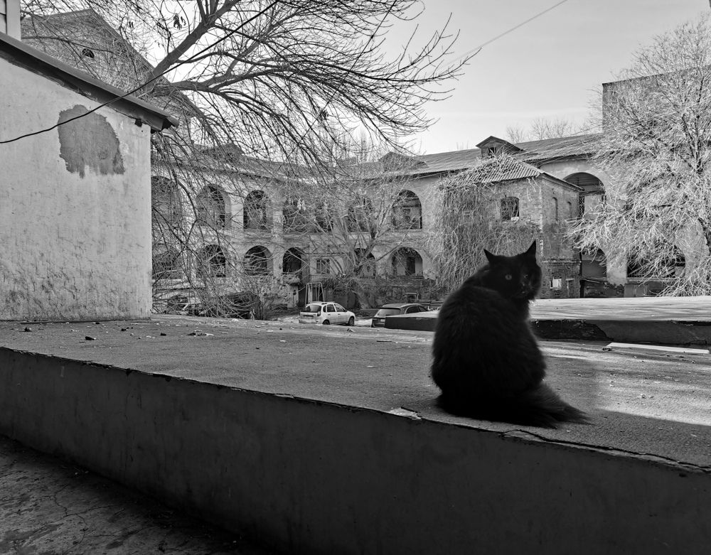 Photograph by Диана Арье