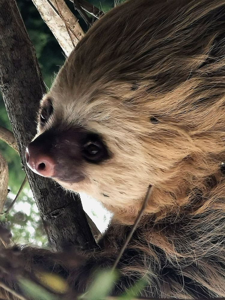 Photograph by Virginia Azocar Contreras