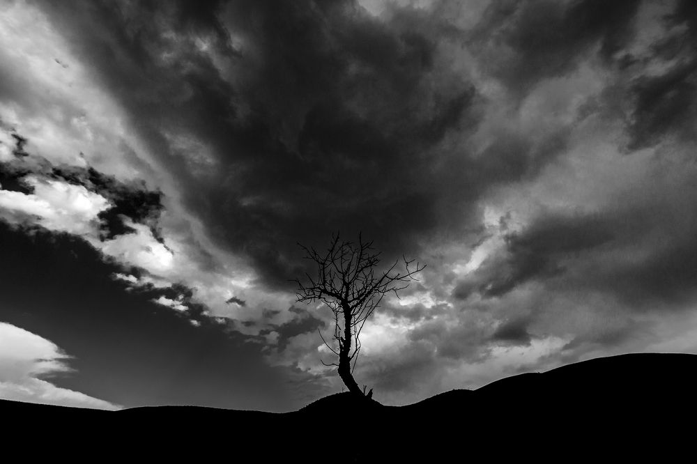 Photograph by amir ali navadeh shahla