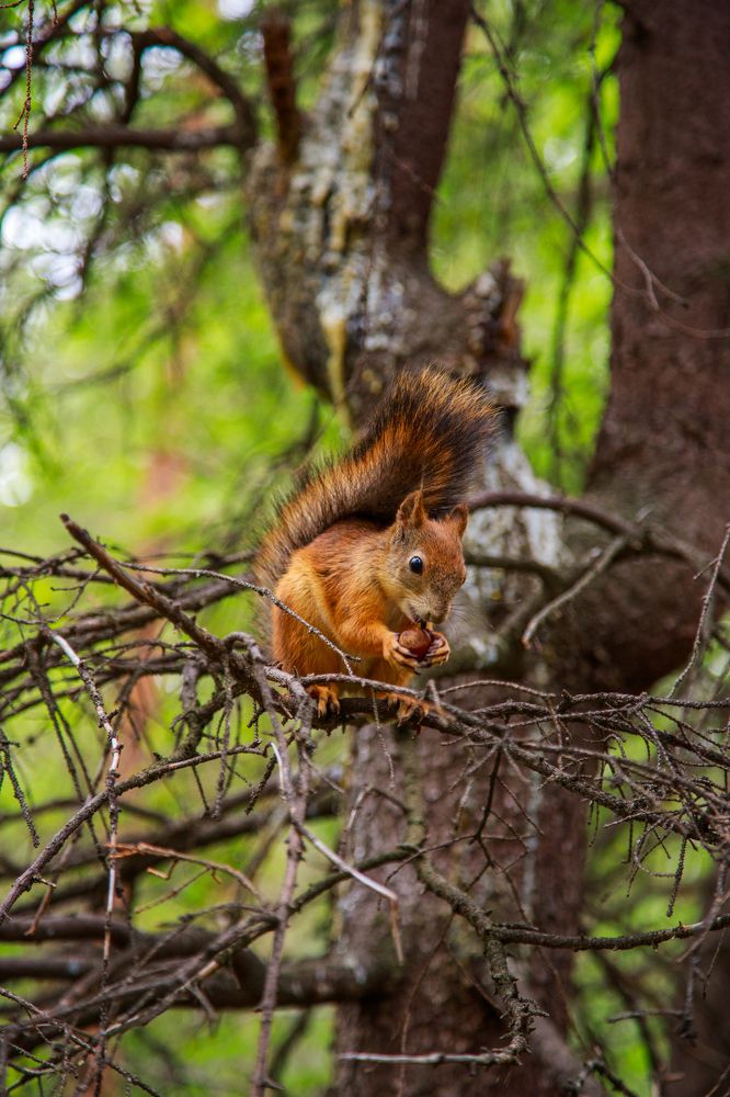 Photograph by Артемий Соловьёв