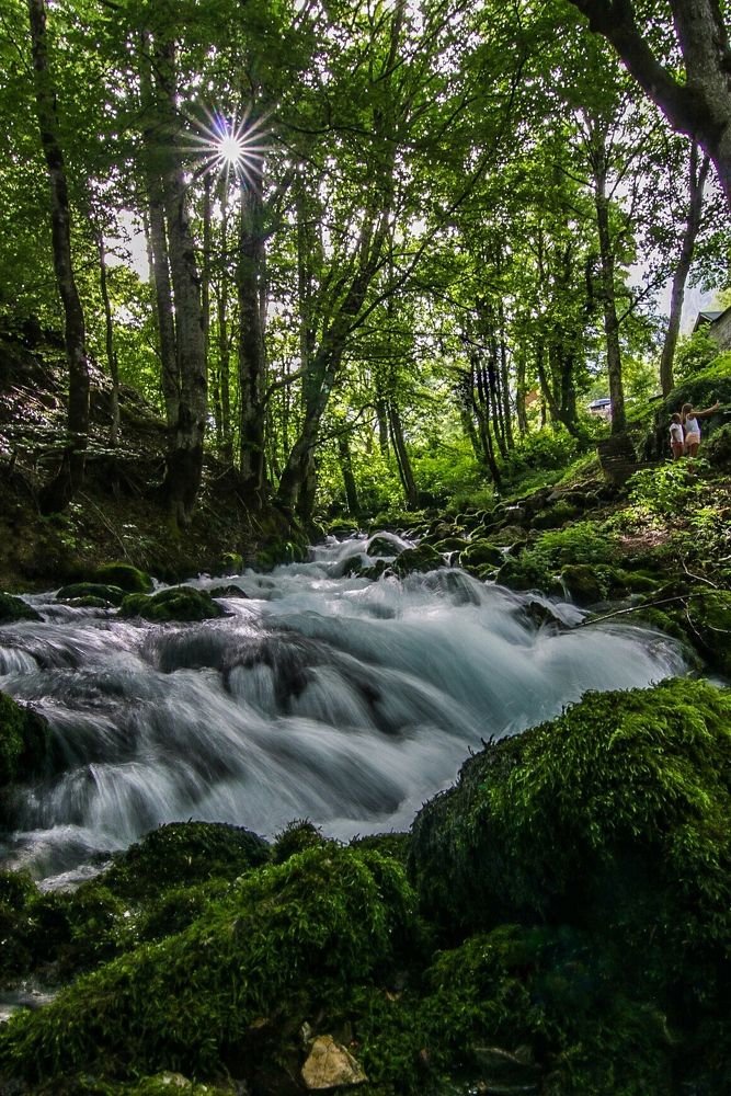 Photograph by Светлана Долгих