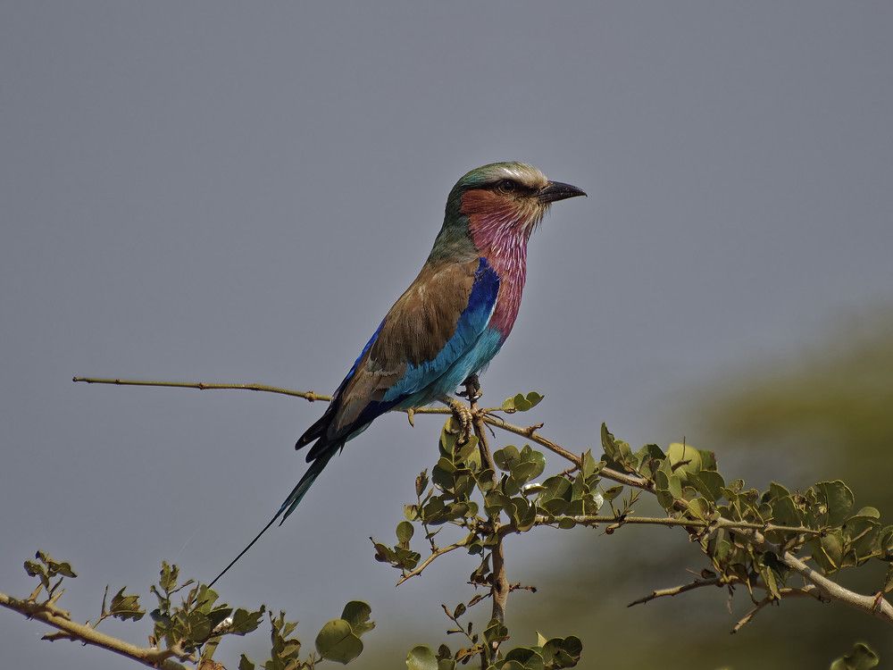 Photograph by Андрей Панин