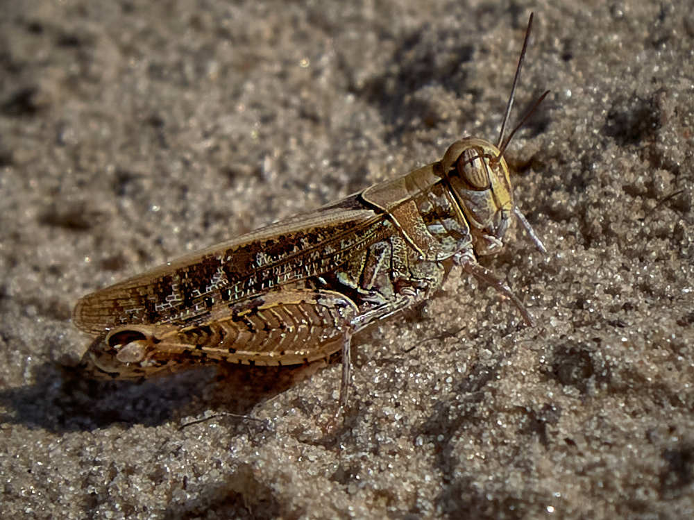 Photograph by Николай Зернов