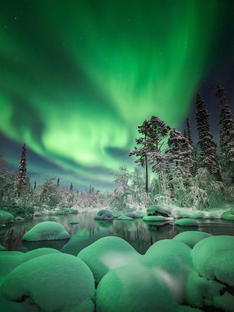 Photograph by Елена Ермолина