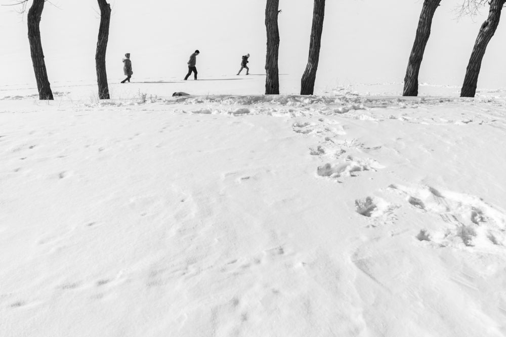 Photograph by amir ali navadeh shahla