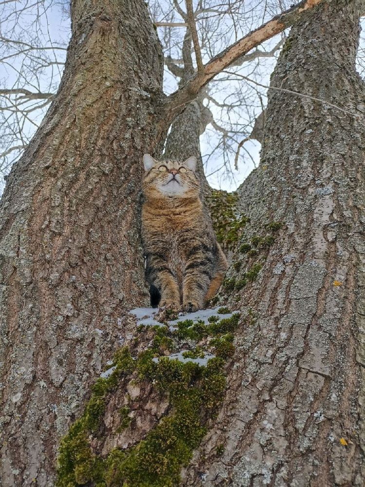 Photograph by Светлана Агапова