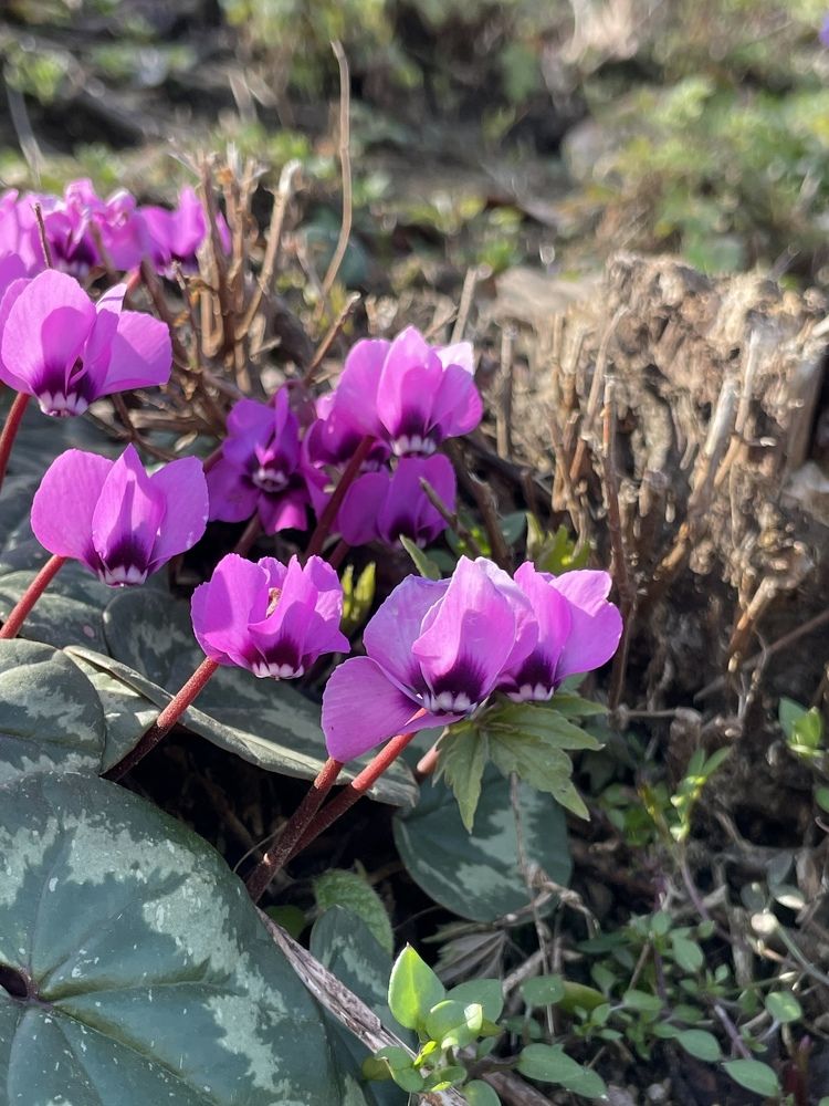 Photograph by Елена Горбунова