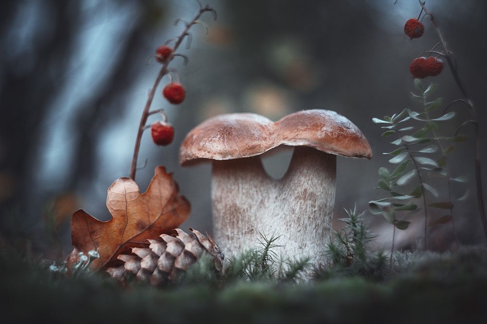 Photograph by Александр Чорный