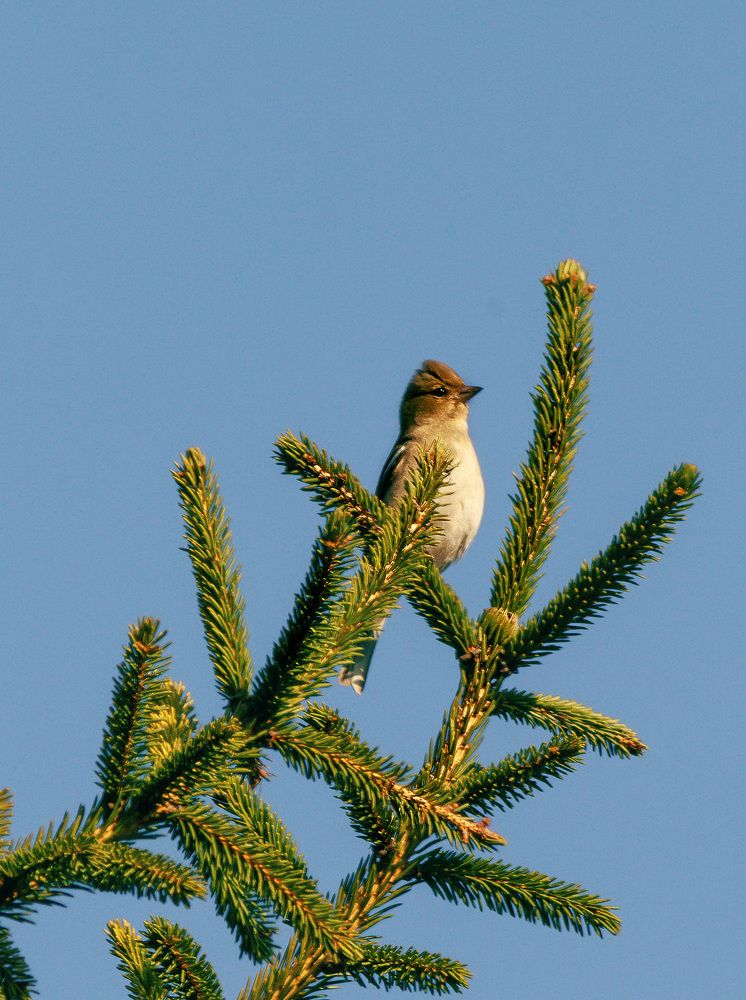 Photograph by Николай Зернов