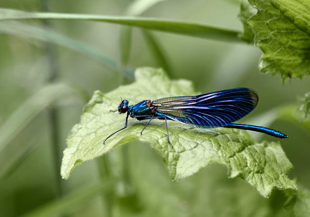 Photograph by Николай Зернов