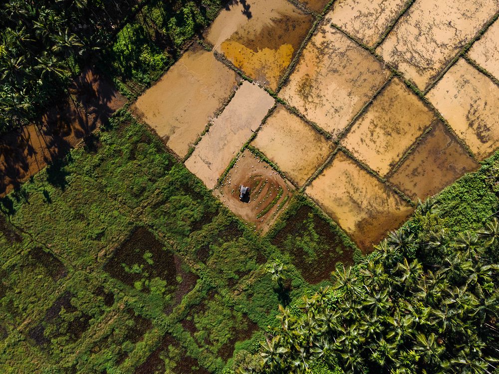 Making suitable for farm!