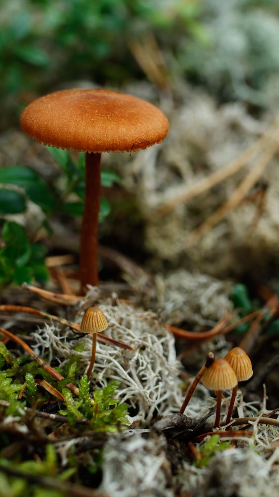 Фотография автора Александра Янчуковская