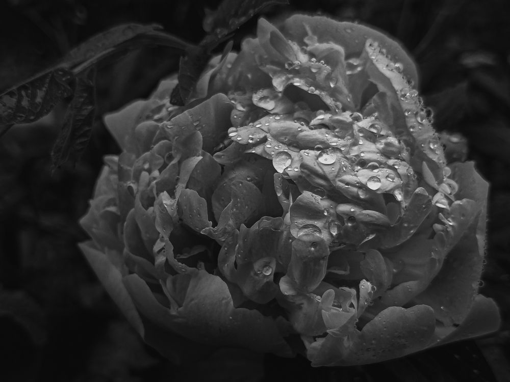 Photograph by Ольга Тюрина