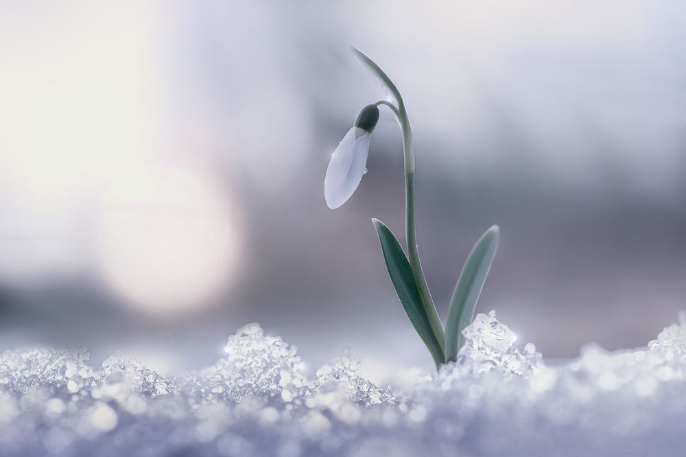 Photograph by Александр Чорный