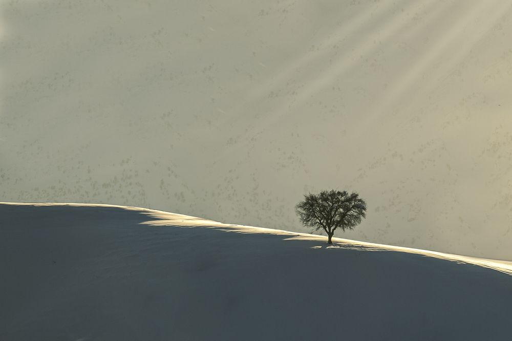 Photograph by aliasadi