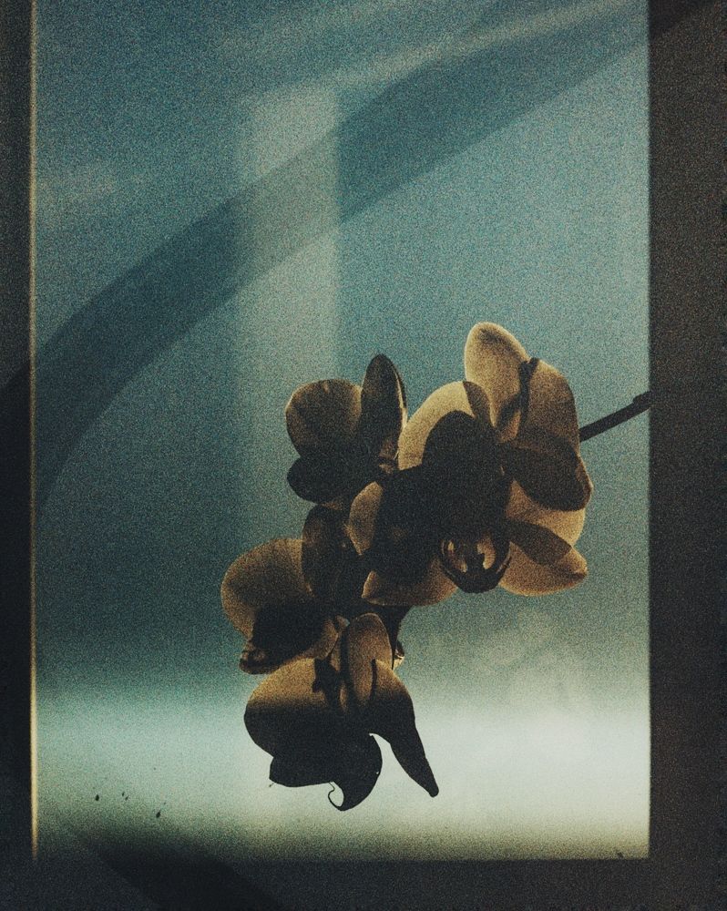 Photograph by Валентин Федоров